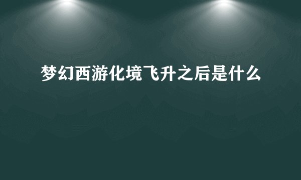 梦幻西游化境飞升之后是什么
