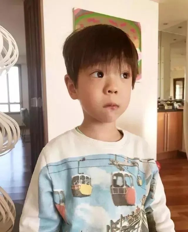霍思燕儿子嗯哼长大了,单眼皮变成双眼皮,颜值爆表,你觉得帅吗?