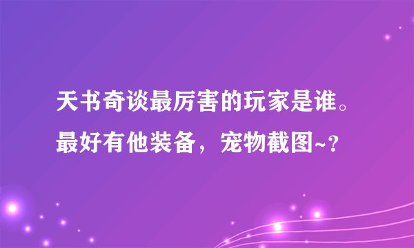 天书奇谈最厉害的玩家是谁。最好有他装备，宠物截图~？