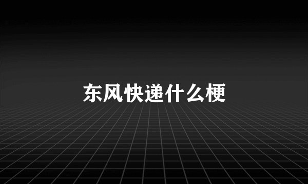 东风快递什么梗