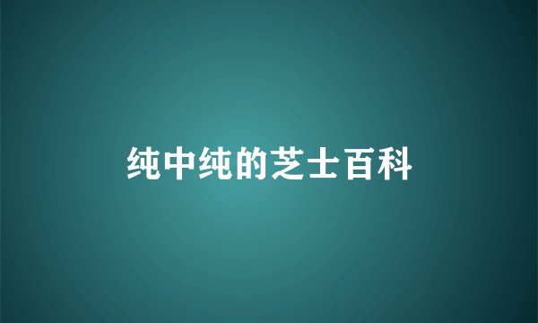 纯中纯的芝士百科