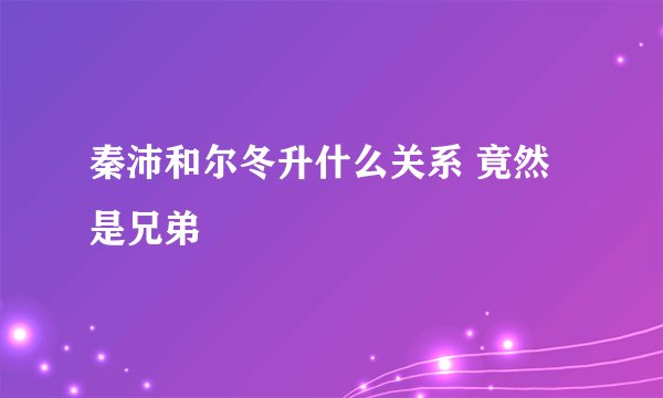 秦沛和尔冬升什么关系 竟然是兄弟