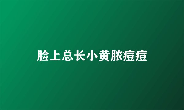 脸上总长小黄脓痘痘