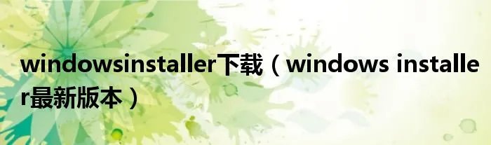 windowsinstaller下载（windows installer最新版本）