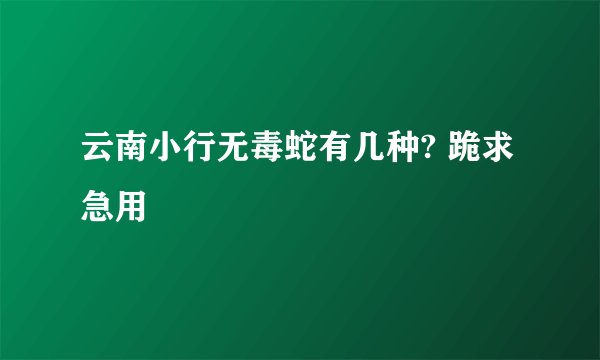 云南小行无毒蛇有几种? 跪求急用