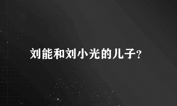 刘能和刘小光的儿子？