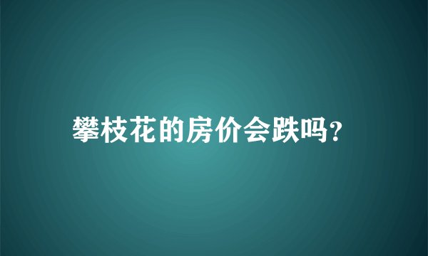 攀枝花的房价会跌吗？