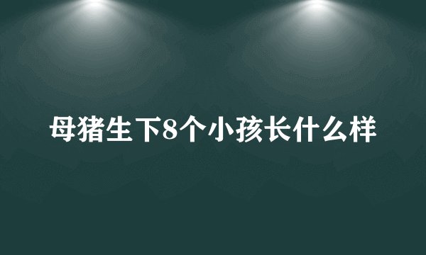 母猪生下8个小孩长什么样