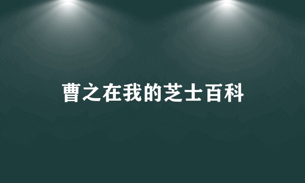 曹之在我的芝士百科