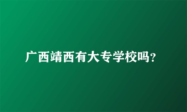 广西靖西有大专学校吗？