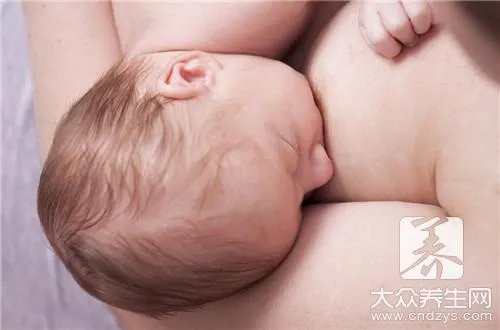 小通草怎么吃下奶