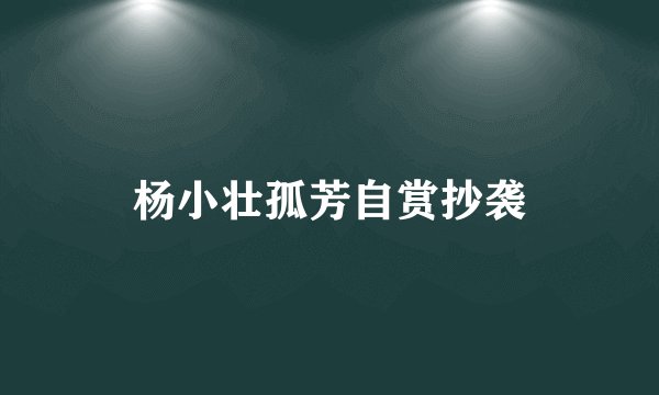 杨小壮孤芳自赏抄袭