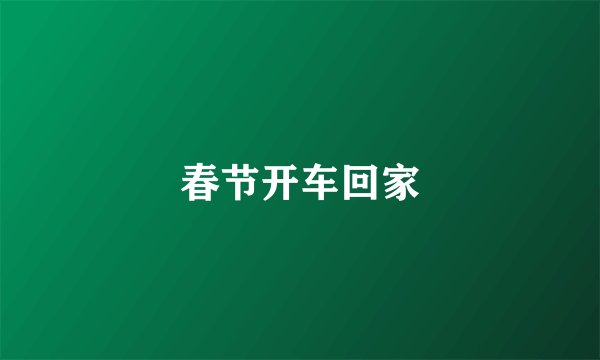 春节开车回家