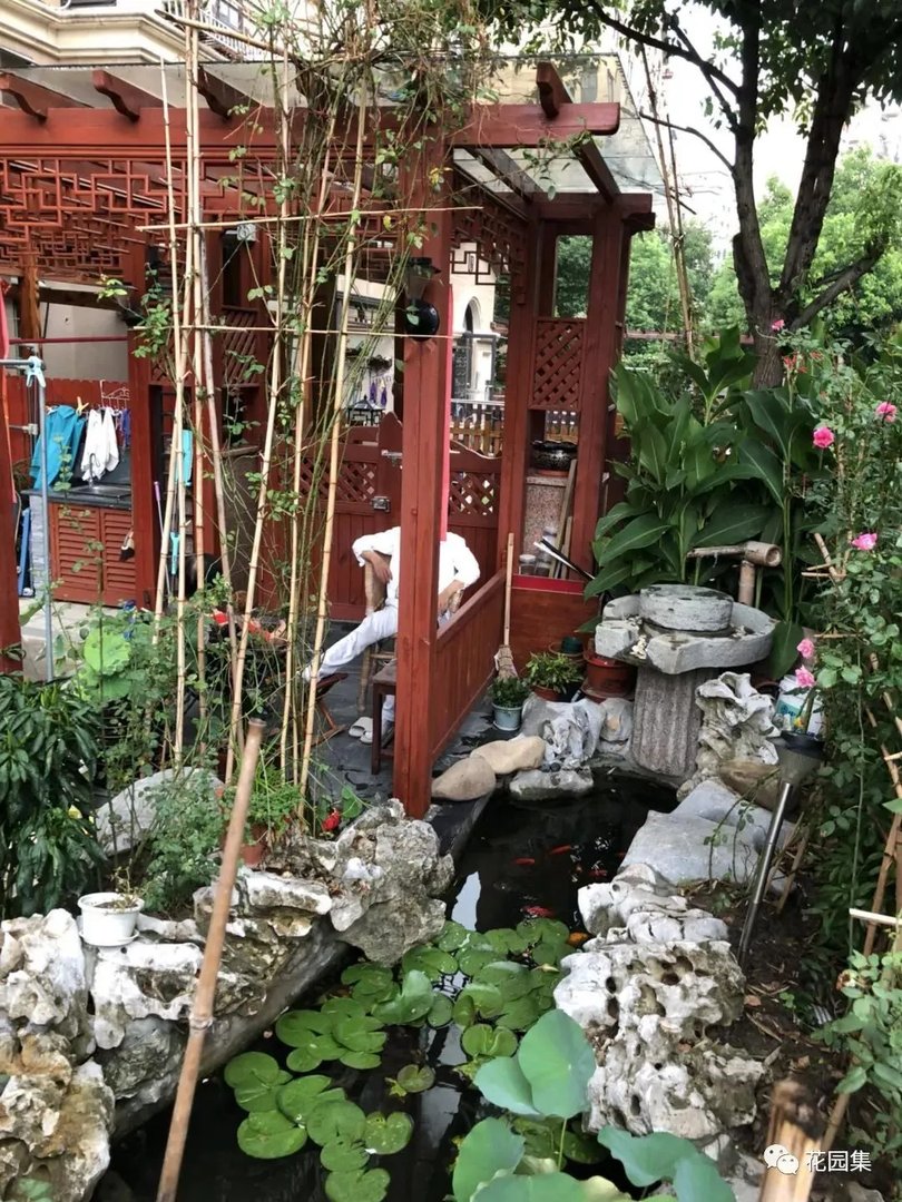 纯天然庭院鱼池打造攻略,生态、省心又实惠!赶紧收藏