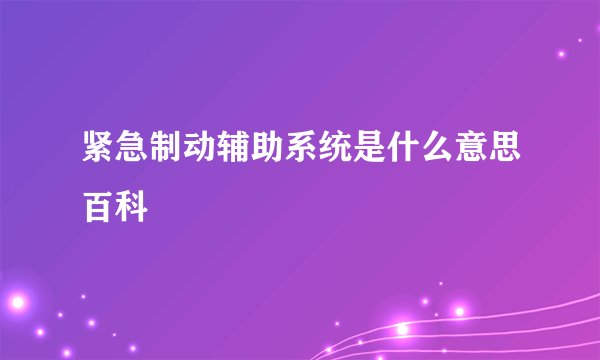 紧急制动辅助系统是什么意思百科