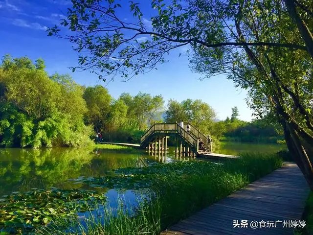 中国共有哪些著名的湿地公园?