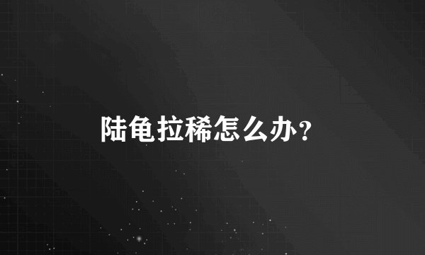 陆龟拉稀怎么办?