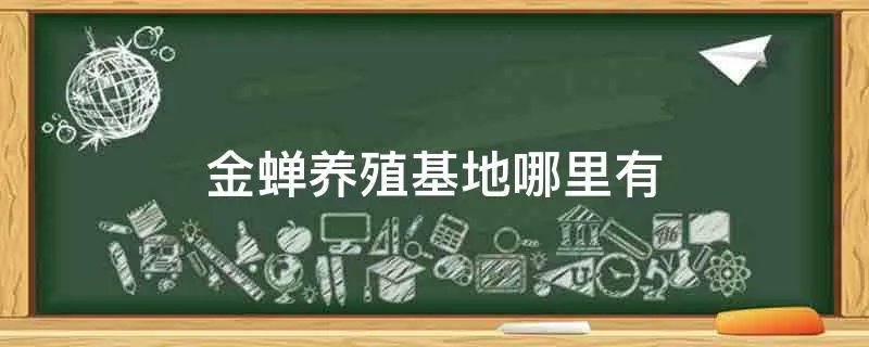 金蝉养殖基地哪里有