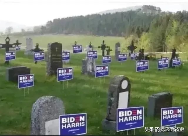 参议院多数党领袖为何力挺特朗普继续上诉?