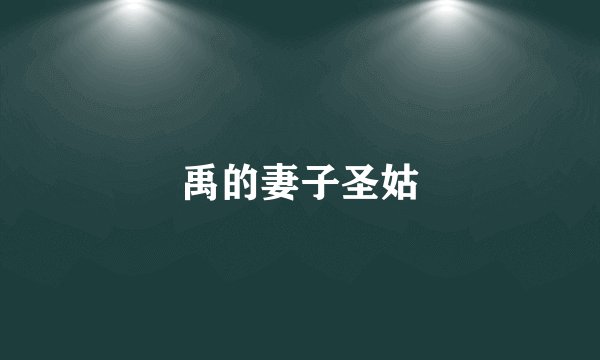 禹的妻子圣姑