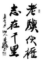 老骥伏枥 志在千里的意思