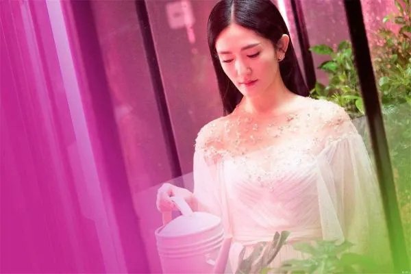 《我要上春晚》第二期官宣张蕾主持，第一期收视率大爆为何要换掉谢娜？