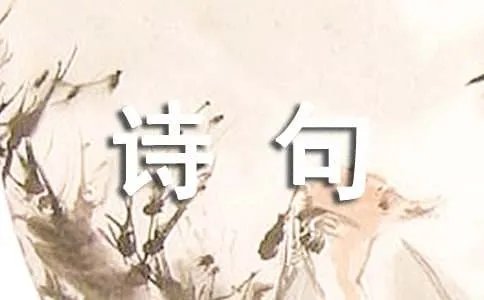 赞美松树的诗句大全