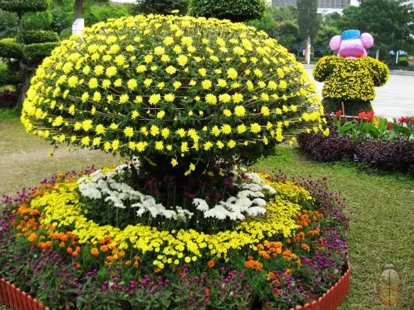菊花会的介绍