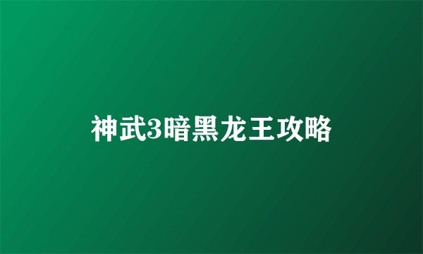 神武3暗黑龙王攻略