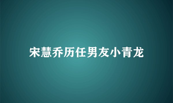 宋慧乔历任男友小青龙
