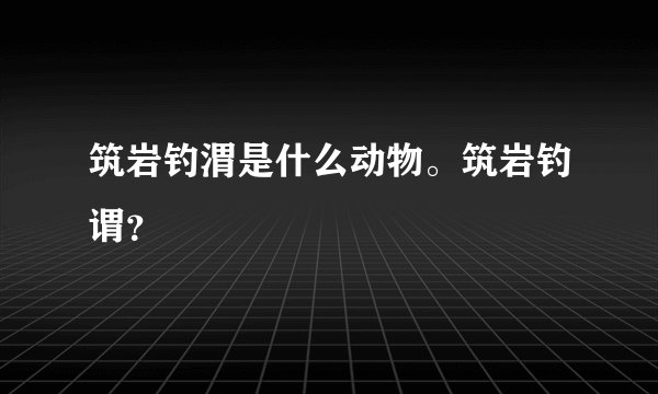 筑岩钓渭是什么动物。筑岩钓谓?