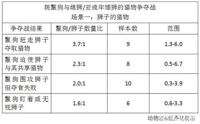 鬣狗狮子