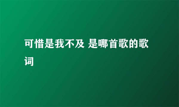 可惜是我不及 是哪首歌的歌词