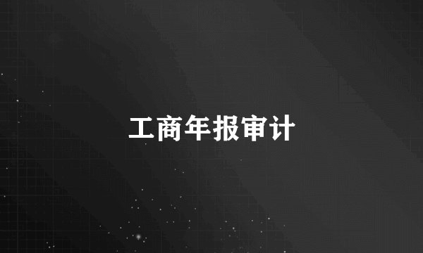 工商年报审计