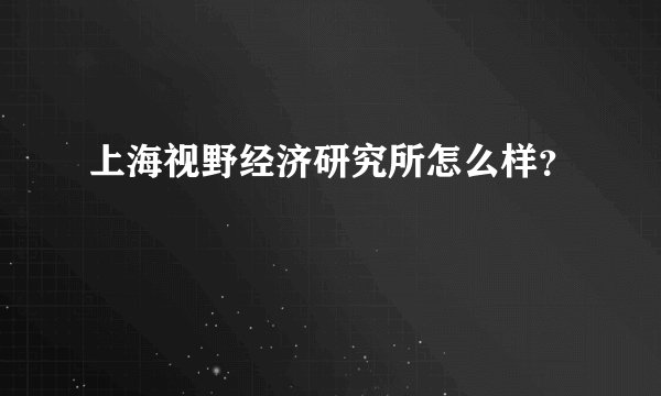 上海视野经济研究所怎么样?