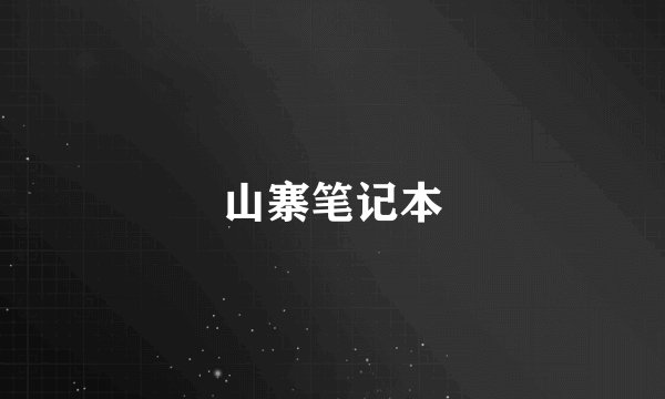 山寨笔记本