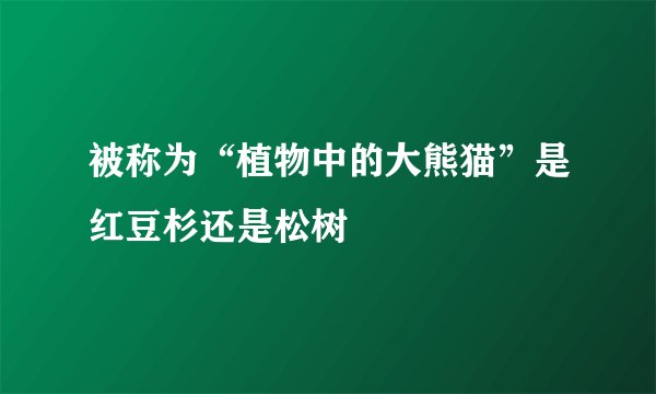 被称为“植物中的大熊猫”是红豆杉还是松树