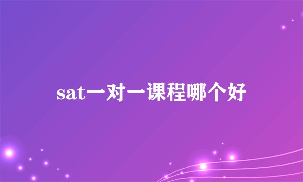 sat一对一课程哪个好