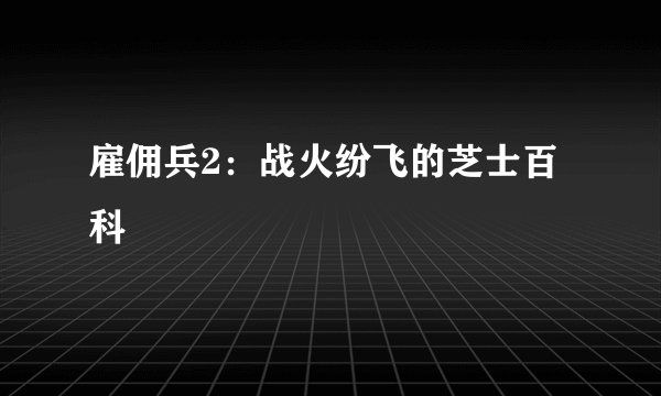 雇佣兵2：战火纷飞的芝士百科