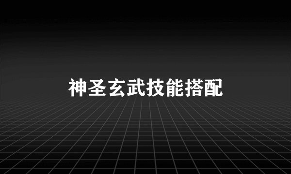 神圣玄武技能搭配