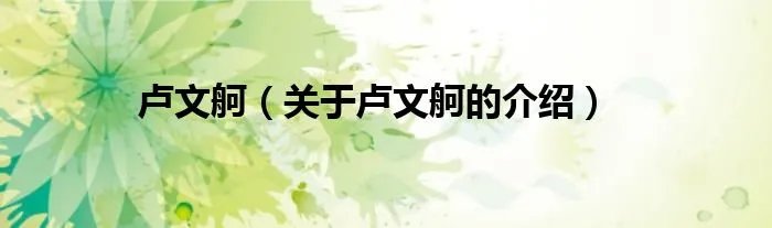 卢文舸（关于卢文舸的介绍）