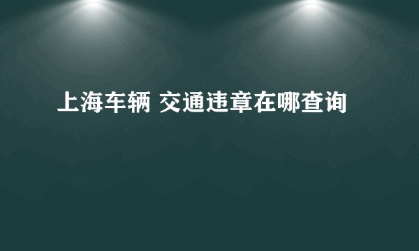 上海车辆 交通违章在哪查询