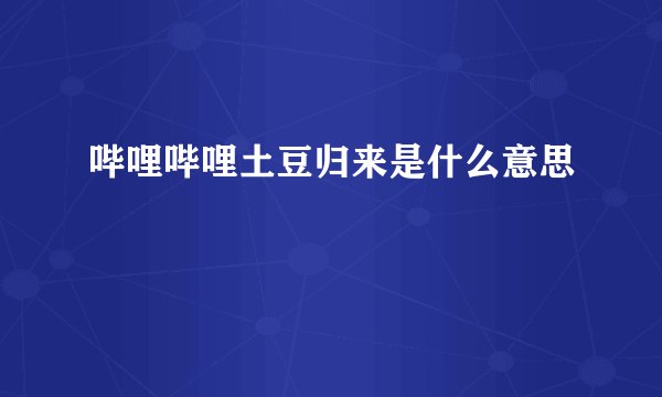 哔哩哔哩土豆归来是什么意思
