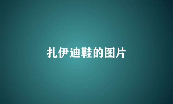 扎伊迪鞋的图片