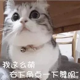 怎么挑选最鲜的海鲜?