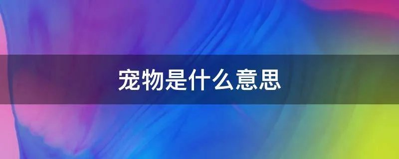 宠物是什么意思