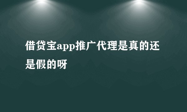 借贷宝app推广代理是真的还是假的呀