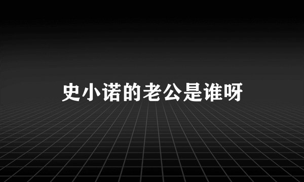 史小诺的老公是谁呀