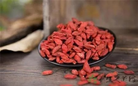 哪些食物可以降火?