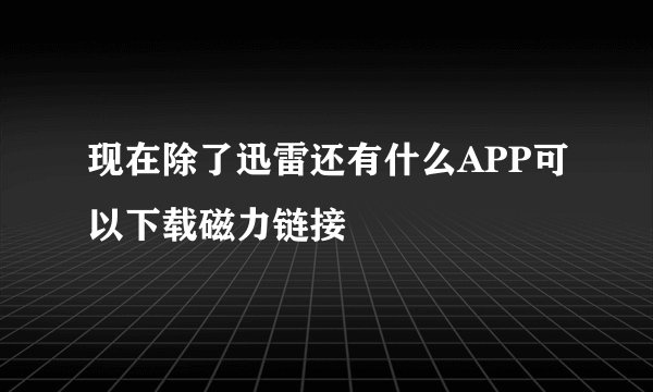 现在除了迅雷还有什么APP可以下载磁力链接